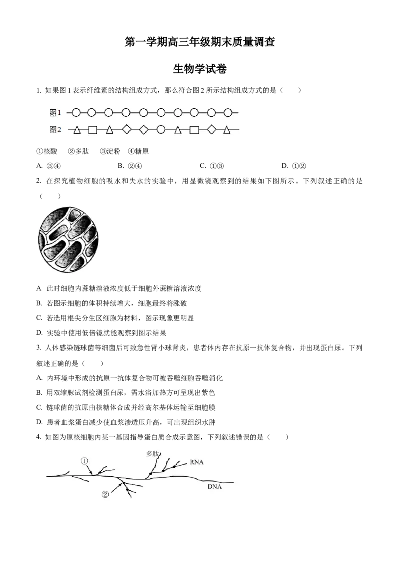 高三上学期期末生物试题（原卷版）_高中九科知识点归纳。_人教版高中Word电子版试卷练习试题知识点全科_高中生物试卷习题_生物选修_选修1_人教版生物选修一期末试卷（012份）