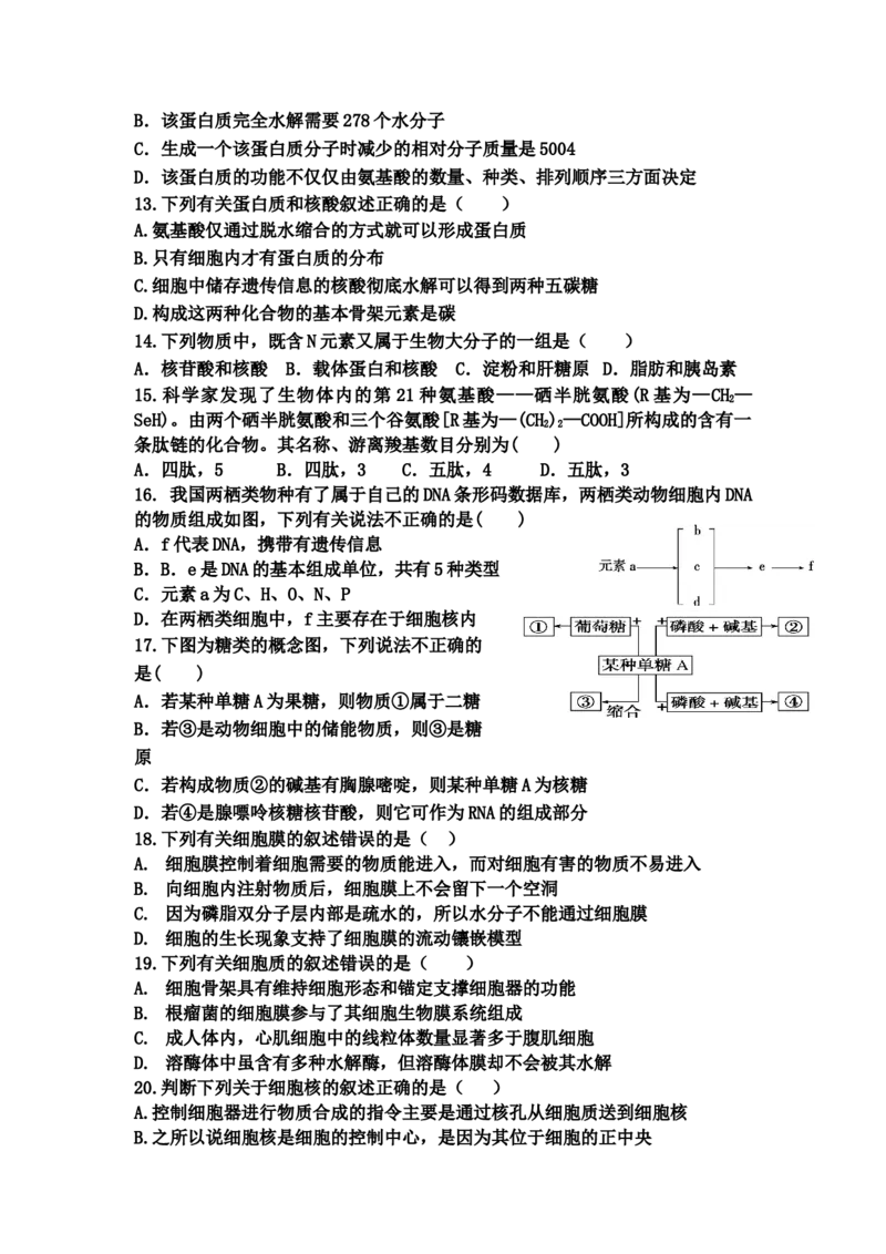 山东省宁阳一中高一上学期期中考试生物_高中九科知识点归纳。_人教版高中Word电子版试卷练习试题知识点全科_高中生物试卷习题_生物必修_必修1