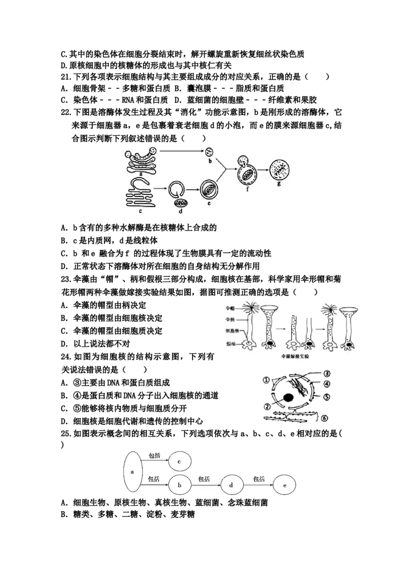 山东省宁阳一中高一上学期期中考试生物_高中九科知识点归纳。_人教版高中Word电子版试卷练习试题知识点全科_高中生物试卷习题_生物必修_必修1