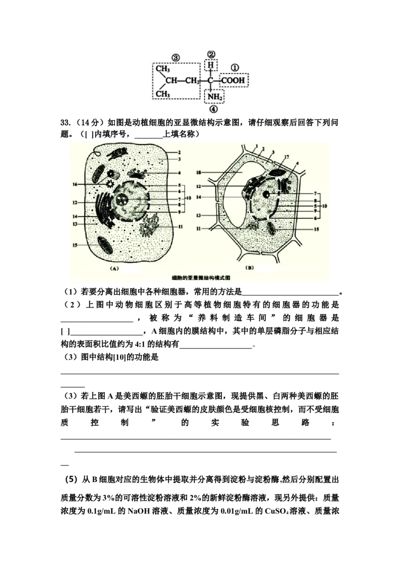 山东省宁阳一中高一上学期期中考试生物_高中九科知识点归纳。_人教版高中Word电子版试卷练习试题知识点全科_高中生物试卷习题_生物必修_必修1