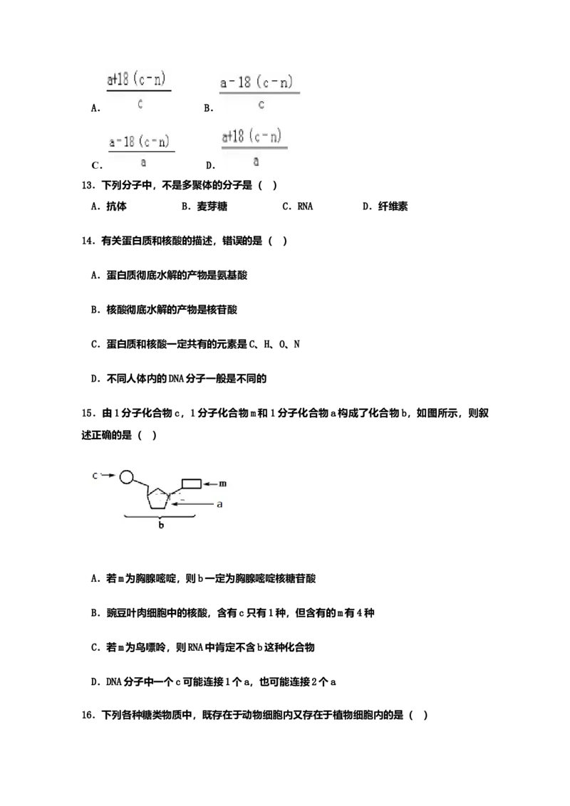山东省新泰市第二中学高一上学期期中考试生物试题_高中九科知识点归纳。_人教版高中Word电子版试卷练习试题知识点全科_高中生物试卷习题_生物必修_必修1