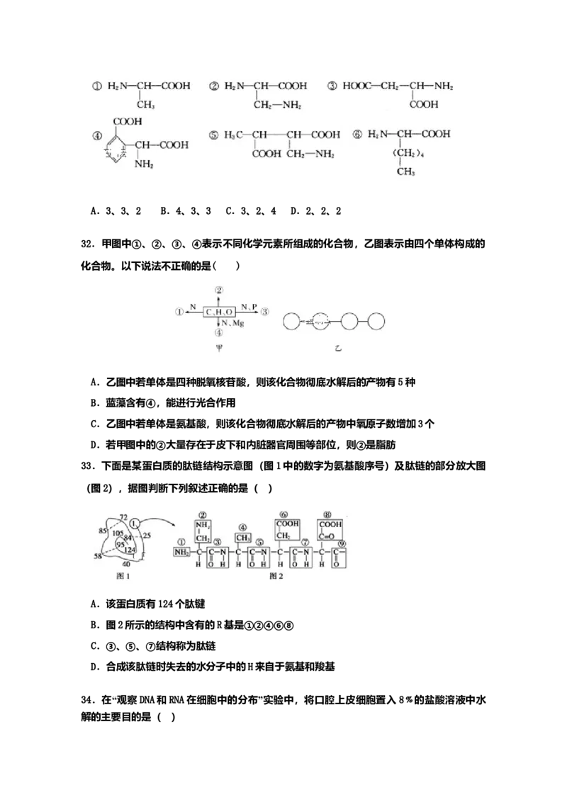 山东省新泰市第二中学高一上学期期中考试生物试题_高中九科知识点归纳。_人教版高中Word电子版试卷练习试题知识点全科_高中生物试卷习题_生物必修_必修1