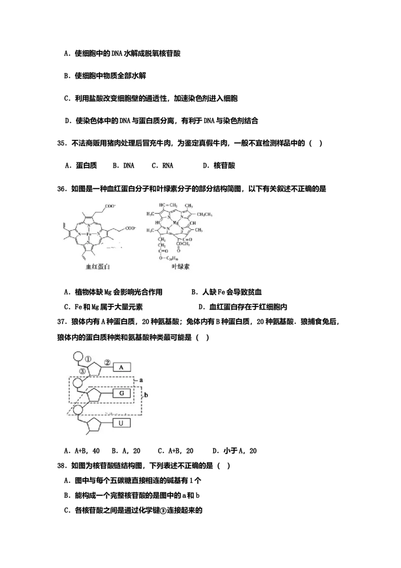 山东省新泰市第二中学高一上学期期中考试生物试题_高中九科知识点归纳。_人教版高中Word电子版试卷练习试题知识点全科_高中生物试卷习题_生物必修_必修1