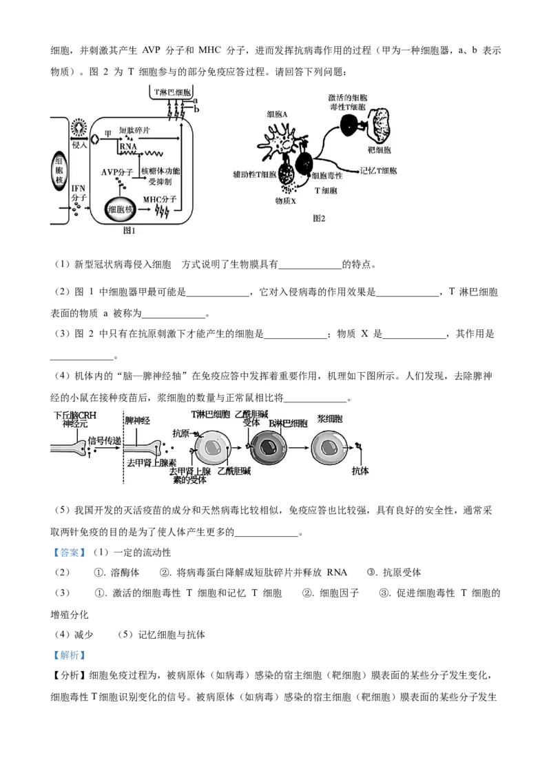 高二上学期期中教学质量调研生物试题（选修）（解析版）_高中九科知识点归纳。_人教版高中Word电子版试卷练习试题知识点全科_高中生物试卷习题_生物选修_选修1