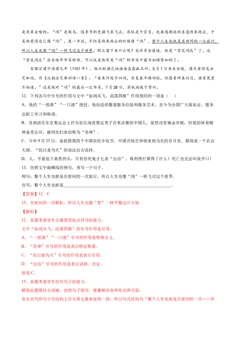 考向09仿写句子-备战2023年高考语文一轮复习考点微专题（新高考地区专用）（解析版）_01高考语文_32023年新高考资料_一轮复习
