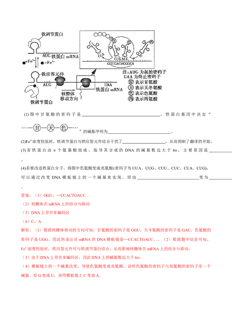 高一生物下学期期末测试卷01（新教材必修二）（解析版）_高中九科知识点归纳。_人教版高中Word电子版试卷练习试题知识点全科_高中生物试卷习题_生物必修_必修2