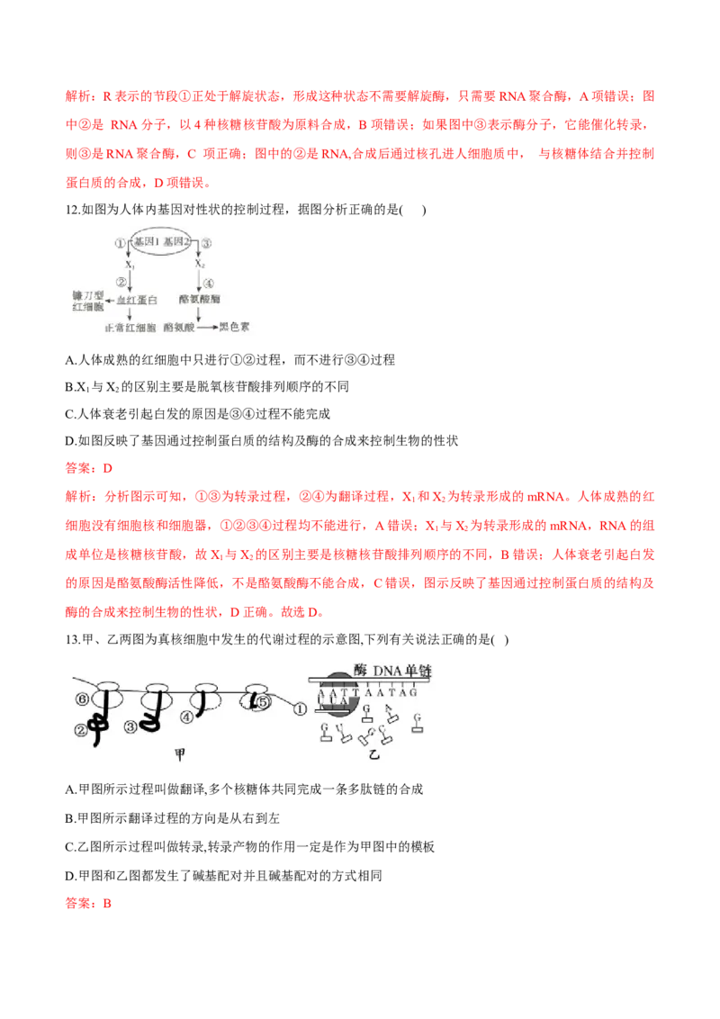 高一生物下学期期末测试卷01（新教材必修二）（解析版）_高中九科知识点归纳。_人教版高中Word电子版试卷练习试题知识点全科_高中生物试卷习题_生物必修_必修2