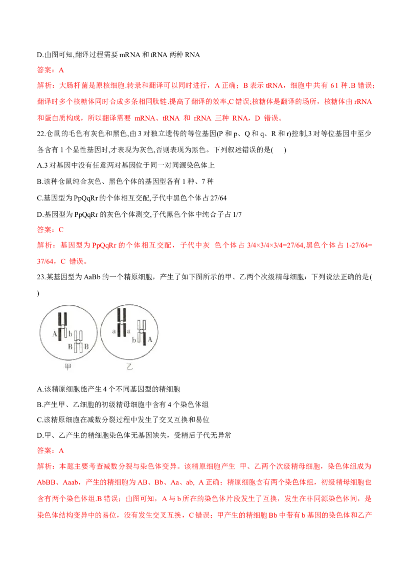 高一生物下学期期末测试卷01（新教材必修二）（解析版）_高中九科知识点归纳。_人教版高中Word电子版试卷练习试题知识点全科_高中生物试卷习题_生物必修_必修2