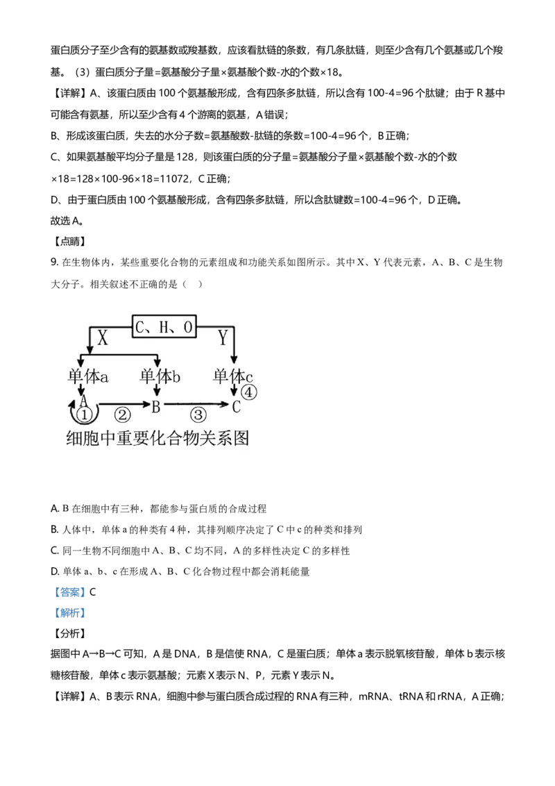 精品解析：云南省昆明市衡水实验中学西山学校高一上学期期末生物试题（解析版）_高中九科知识点归纳。_人教版高中Word电子版试卷练习试题知识点全科_高中生物试卷习题_生物必修
