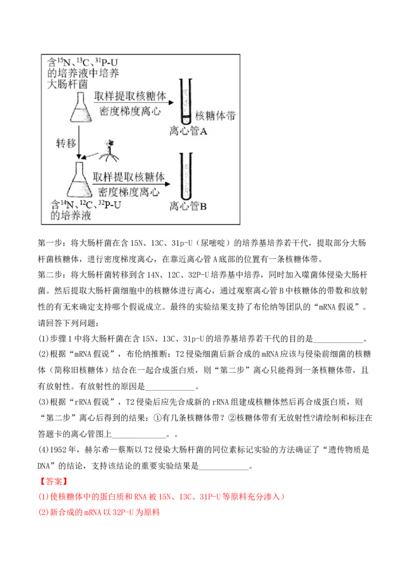 期末检测卷01（基础练）(解析版）_高中九科知识点归纳。_人教版高中Word电子版试卷练习试题知识点全科_高中生物试卷习题_生物必修_必修2_人教版生物必修二期末试卷（016份）