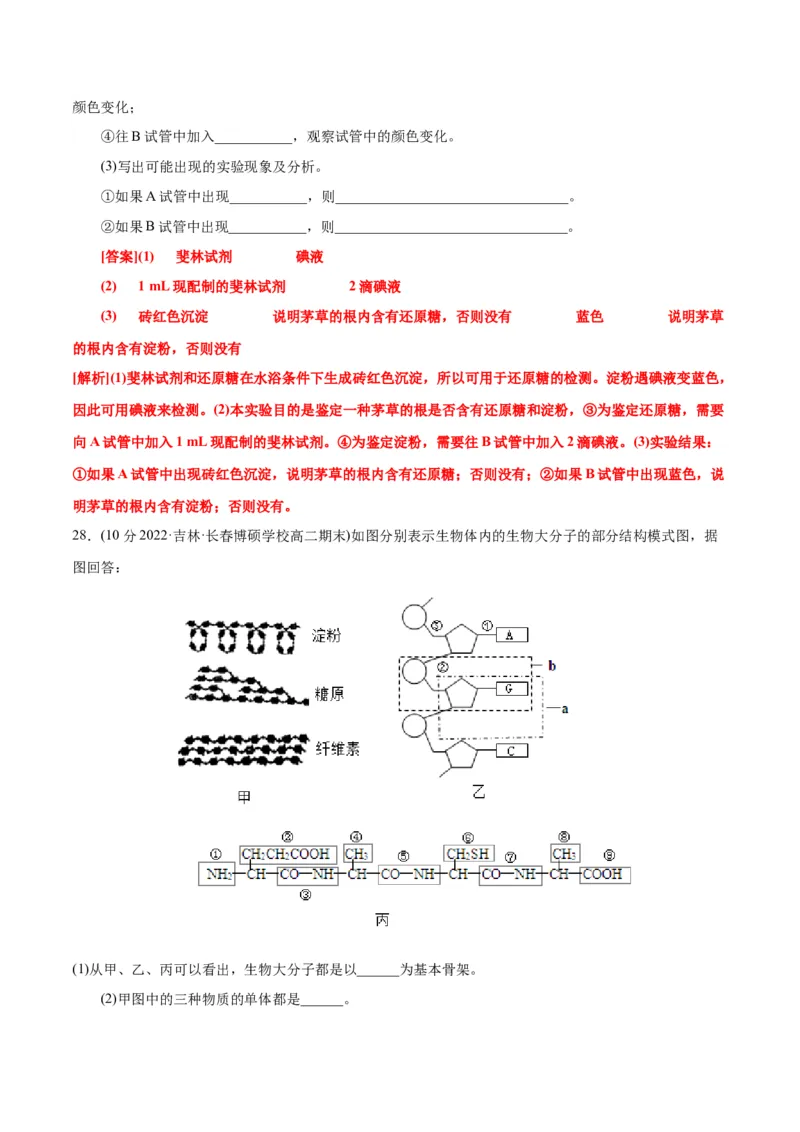第2章组成细胞的分子（B卷&middot;能力提升练）（解析版）_高中九科知识点归纳。_人教版高中Word电子版试卷练习试题知识点全科_高中生物试卷习题_生物必修_必修1_1.单元测试AB卷（第一套）