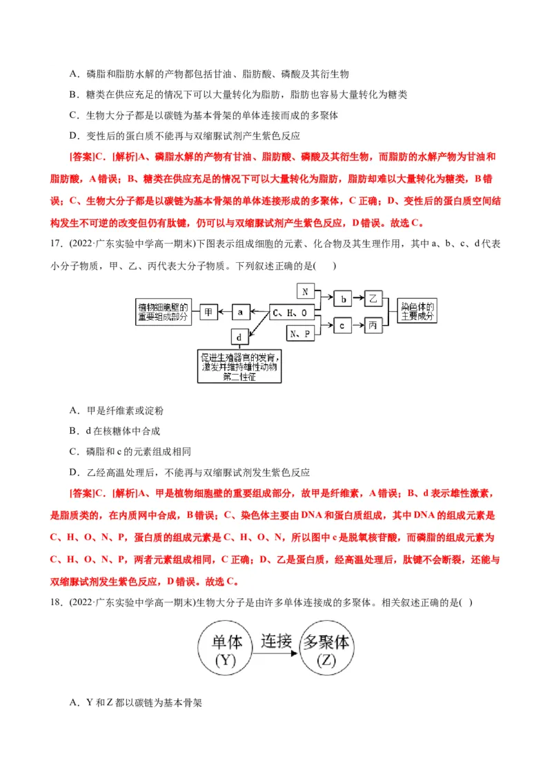 第2章组成细胞的分子（B卷&middot;能力提升练）（解析版）_高中九科知识点归纳。_人教版高中Word电子版试卷练习试题知识点全科_高中生物试卷习题_生物必修_必修1_1.单元测试AB卷（第一套）