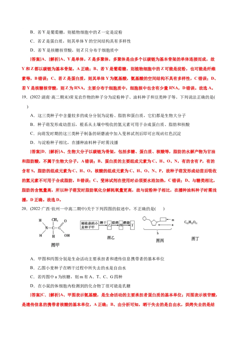 第2章组成细胞的分子（B卷&middot;能力提升练）（解析版）_高中九科知识点归纳。_人教版高中Word电子版试卷练习试题知识点全科_高中生物试卷习题_生物必修_必修1_1.单元测试AB卷（第一套）