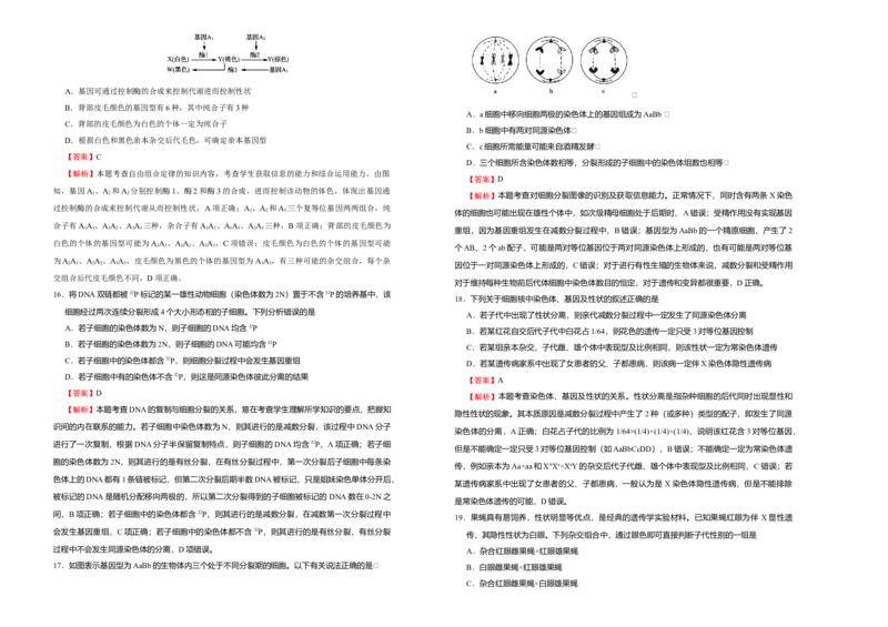 原创（新教材）下学期高一第一次月考卷生物（A卷）教师版_高中九科知识点归纳。_人教版高中Word电子版试卷练习试题知识点全科_高中生物试卷习题_生物必修_必修2