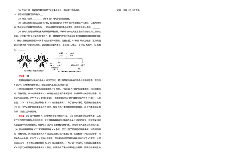 原创（新教材）下学期高一第一次月考卷生物（A卷）教师版_高中九科知识点归纳。_人教版高中Word电子版试卷练习试题知识点全科_高中生物试卷习题_生物必修_必修2