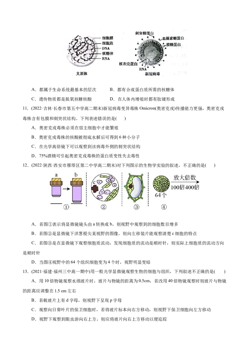 第1章走近细胞（B卷&middot;能力提升练）（原卷版）_高中九科知识点归纳。_人教版高中Word电子版试卷练习试题知识点全科_高中生物试卷习题_生物必修_必修1_1.单元测试AB卷（第一套）