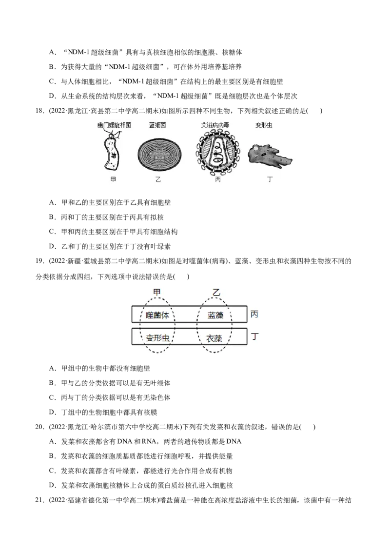 第1章走近细胞（B卷&middot;能力提升练）（原卷版）_高中九科知识点归纳。_人教版高中Word电子版试卷练习试题知识点全科_高中生物试卷习题_生物必修_必修1_1.单元测试AB卷（第一套）