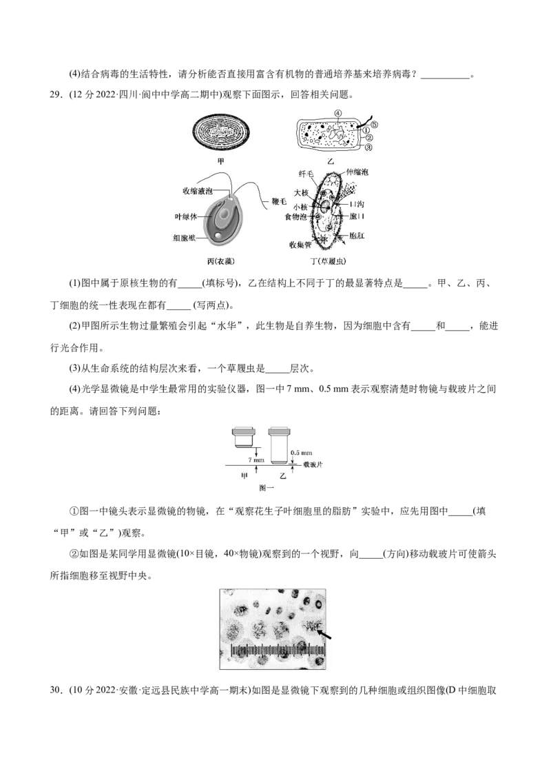第1章走近细胞（B卷&middot;能力提升练）（原卷版）_高中九科知识点归纳。_人教版高中Word电子版试卷练习试题知识点全科_高中生物试卷习题_生物必修_必修1_1.单元测试AB卷（第一套）