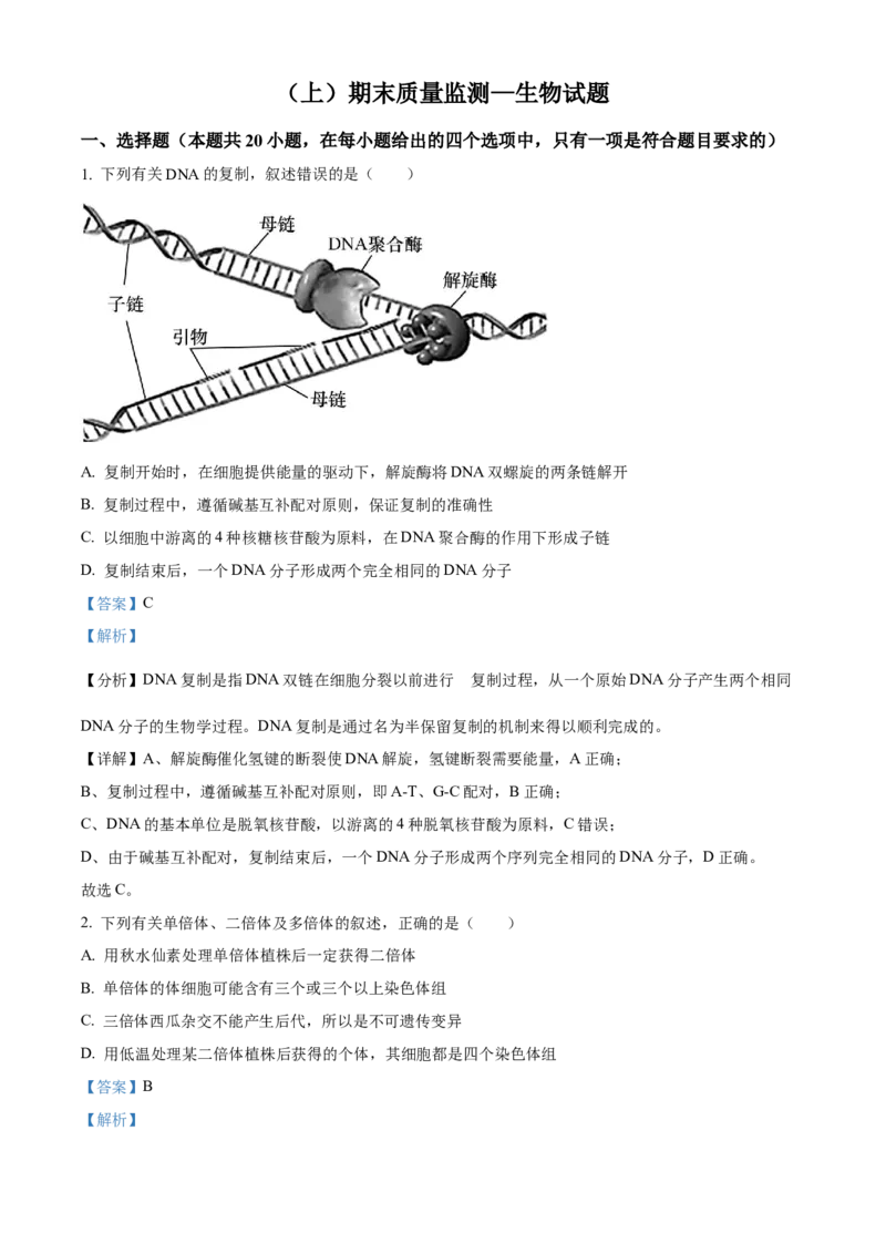 高二上学期期末质量检测生物试题（解析版）_高中九科知识点归纳。_人教版高中Word电子版试卷练习试题知识点全科_高中生物试卷习题_生物选修_选修1_高二上学期期末质量检测生物试题