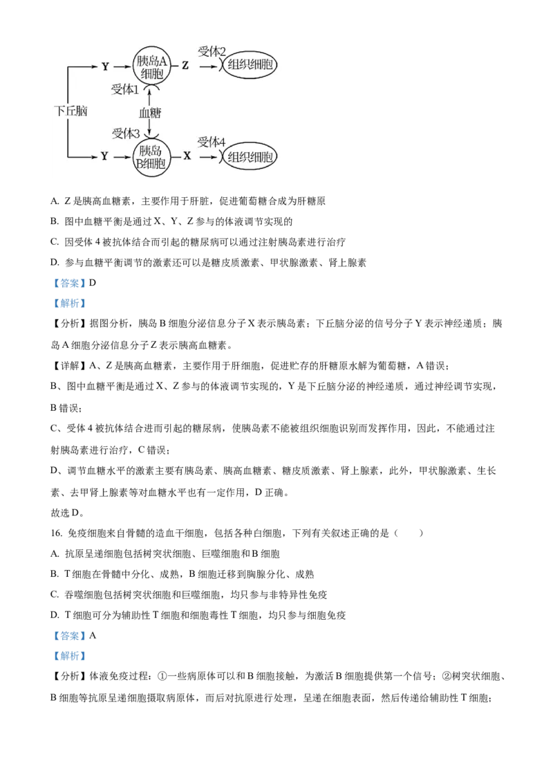 高二上学期期末质量检测生物试题（解析版）_高中九科知识点归纳。_人教版高中Word电子版试卷练习试题知识点全科_高中生物试卷习题_生物选修_选修1_高二上学期期末质量检测生物试题