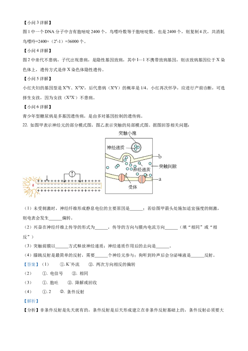 高二上学期期末质量检测生物试题（解析版）_高中九科知识点归纳。_人教版高中Word电子版试卷练习试题知识点全科_高中生物试卷习题_生物选修_选修1_高二上学期期末质量检测生物试题