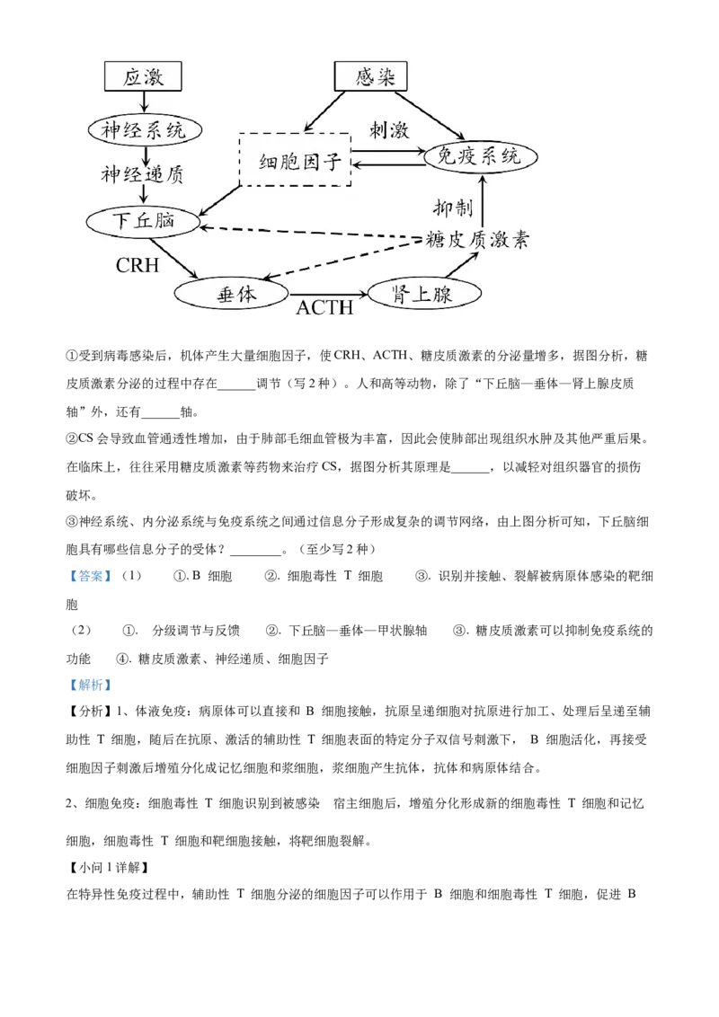 高二上学期期末质量检测生物试题（解析版）_高中九科知识点归纳。_人教版高中Word电子版试卷练习试题知识点全科_高中生物试卷习题_生物选修_选修1_高二上学期期末质量检测生物试题