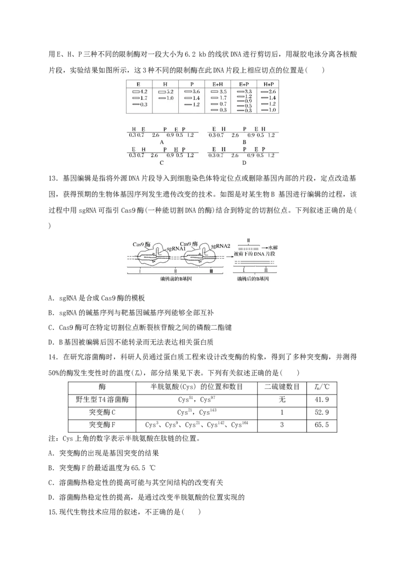 第三单元基因工程（能力提升）-高二生物单元测试定心卷（人教版2019选择性必修3）（原卷版）_高中九科知识点归纳。_人教版高中Word电子版试卷练习试题知识点全科_高中生物试卷习题