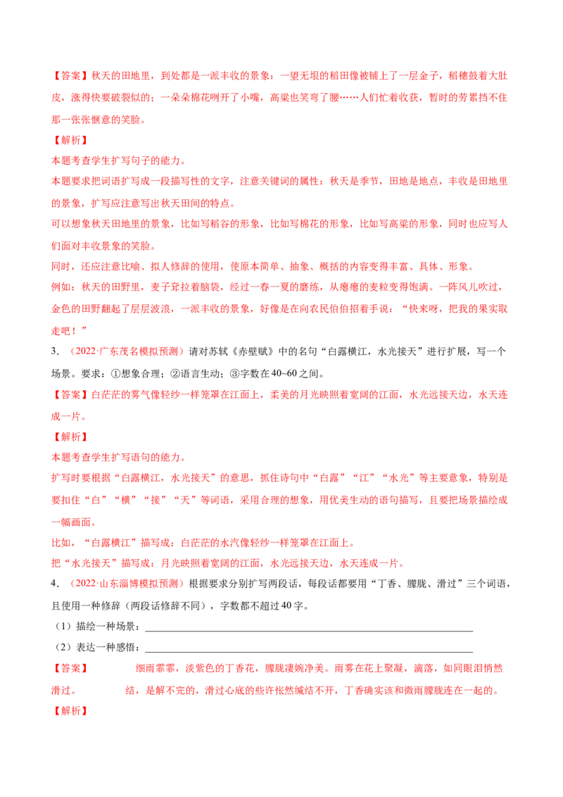 考向12扩展语句-备战2023年高考语文一轮复习考点微专题（新高考地区专用）（解析版）_01高考语文_32023年新高考资料_一轮复习