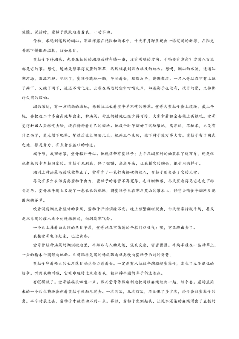 考点巩固卷06内容理解（原卷版）_01高考语文_5.22025年新高考资料_2025年高考语文一轮复习考点通关卷（新高考通用）