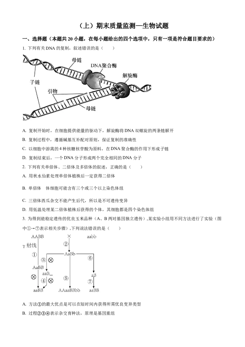 高二上学期期末质量检测生物试题（原卷版）_高中九科知识点归纳。_人教版高中Word电子版试卷练习试题知识点全科_高中生物试卷习题_生物选修_选修1_高二上学期期末质量检测生物试题