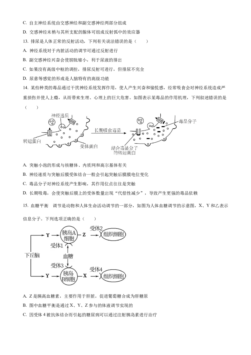 高二上学期期末质量检测生物试题（原卷版）_高中九科知识点归纳。_人教版高中Word电子版试卷练习试题知识点全科_高中生物试卷习题_生物选修_选修1_高二上学期期末质量检测生物试题