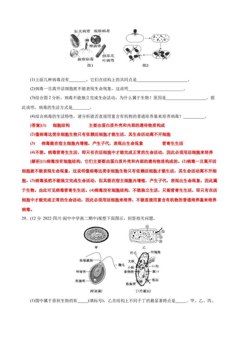 第1章走近细胞（B卷&middot;能力提升练）（解析版）_高中九科知识点归纳。_人教版高中Word电子版试卷练习试题知识点全科_高中生物试卷习题_生物必修_必修1_1.单元测试AB卷（第一套）