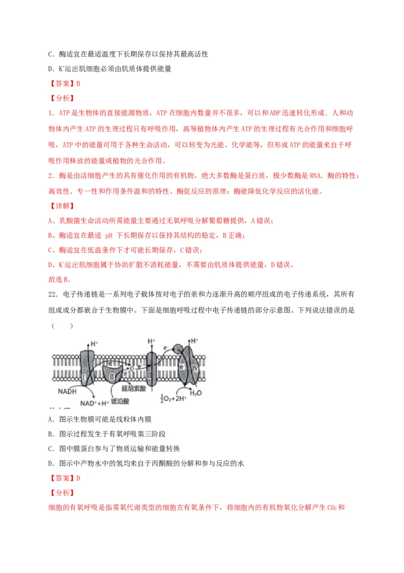 高一生物上学期期末测试卷01（人教版必修1）（解析版）_高中九科知识点归纳。_人教版高中Word电子版试卷练习试题知识点全科_高中生物试卷习题_生物必修_必修1_1.模拟题
