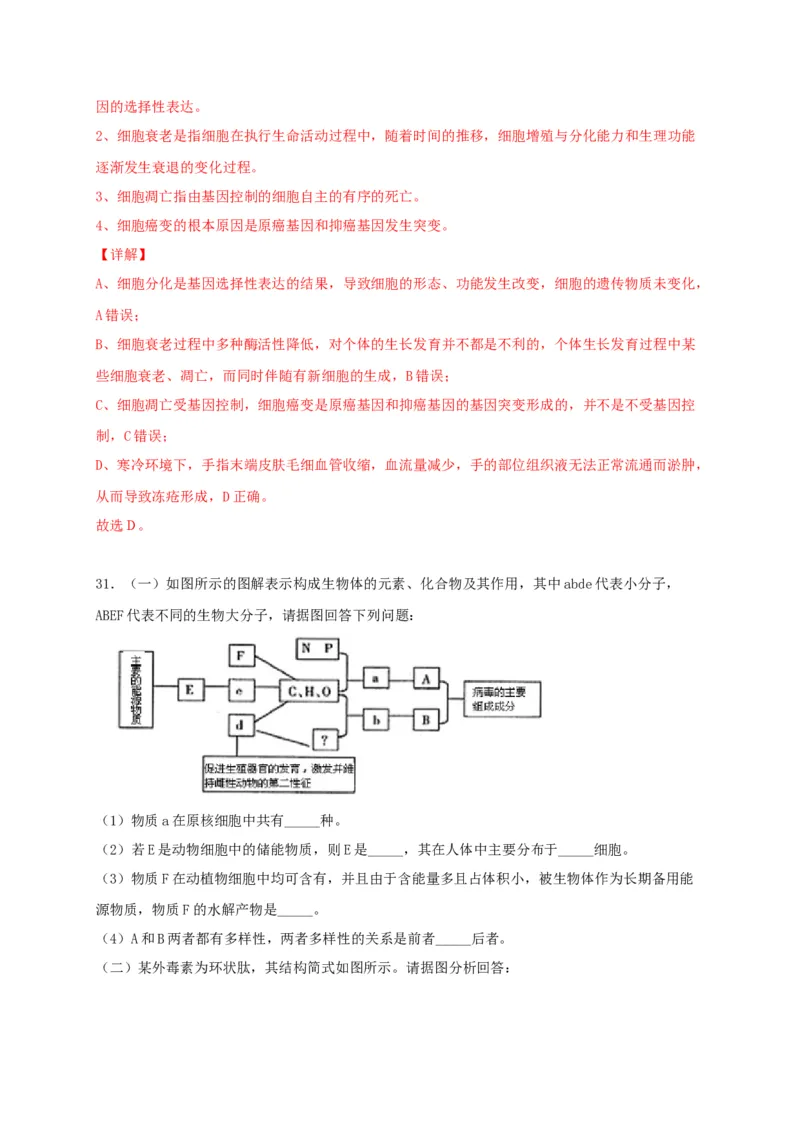 高一生物上学期期末测试卷01（人教版必修1）（解析版）_高中九科知识点归纳。_人教版高中Word电子版试卷练习试题知识点全科_高中生物试卷习题_生物必修_必修1_1.模拟题