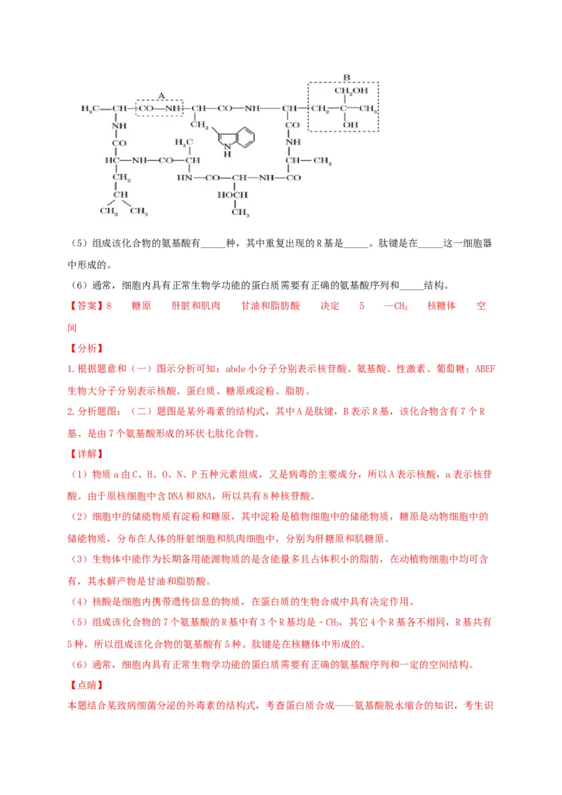 高一生物上学期期末测试卷01（人教版必修1）（解析版）_高中九科知识点归纳。_人教版高中Word电子版试卷练习试题知识点全科_高中生物试卷习题_生物必修_必修1_1.模拟题