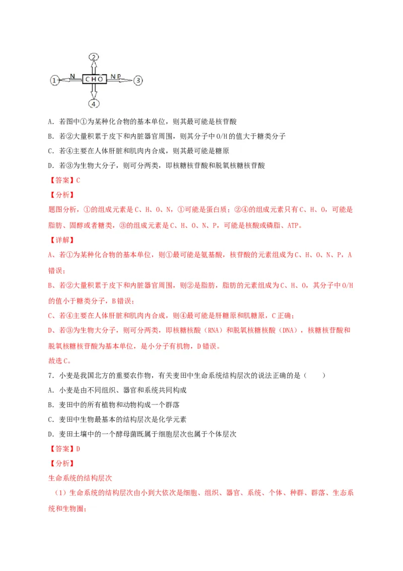 高一生物上学期期末测试卷01（人教版必修1）（解析版）_高中九科知识点归纳。_人教版高中Word电子版试卷练习试题知识点全科_高中生物试卷习题_生物必修_必修1_1.模拟题