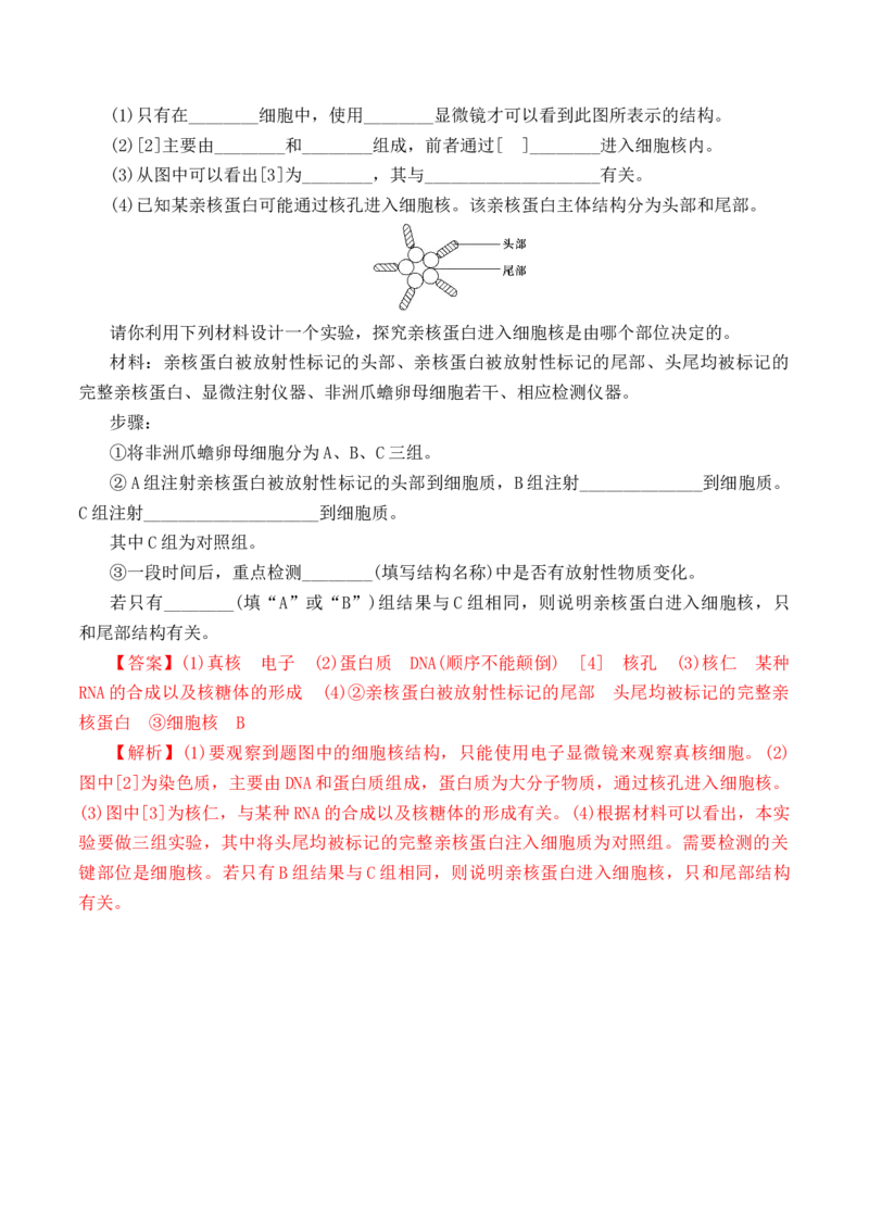 期中预测卷-高一生物上学期课后培优分级练（2019人教版必修1）（解析版）_高中九科知识点归纳。_人教版高中Word电子版试卷练习试题知识点全科_高中生物试卷习题_生物必修_必修1