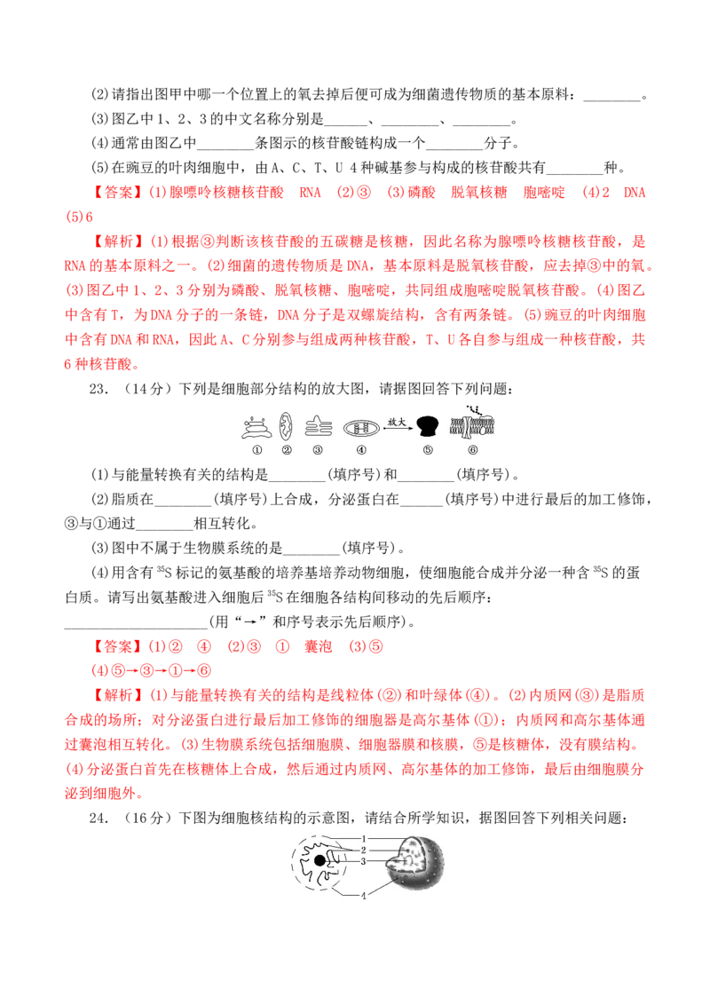 期中预测卷-高一生物上学期课后培优分级练（2019人教版必修1）（解析版）_高中九科知识点归纳。_人教版高中Word电子版试卷练习试题知识点全科_高中生物试卷习题_生物必修_必修1