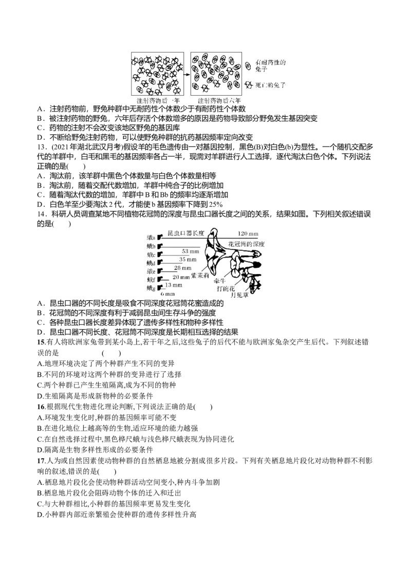 第6章生物的进化（原卷版）_高中九科知识点归纳。_人教版高中Word电子版试卷练习试题知识点全科_高中生物试卷习题_生物必修_必修2_人教版生物必修二单元测试（012份）