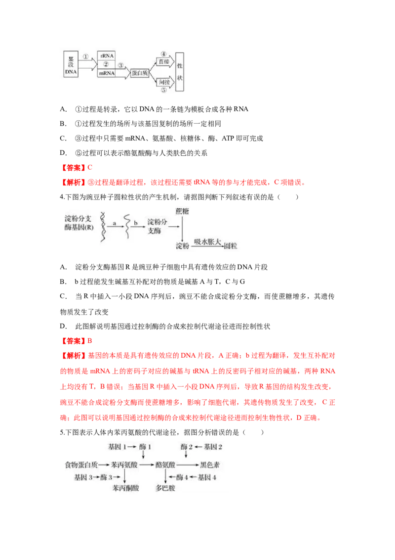 新教材精创4.2基因表达与性状的关系练习（1）（解析版）_高中九科知识点归纳。_人教版高中Word电子版试卷练习试题知识点全科_高中生物试卷习题_生物必修_必修2_1、同步练习