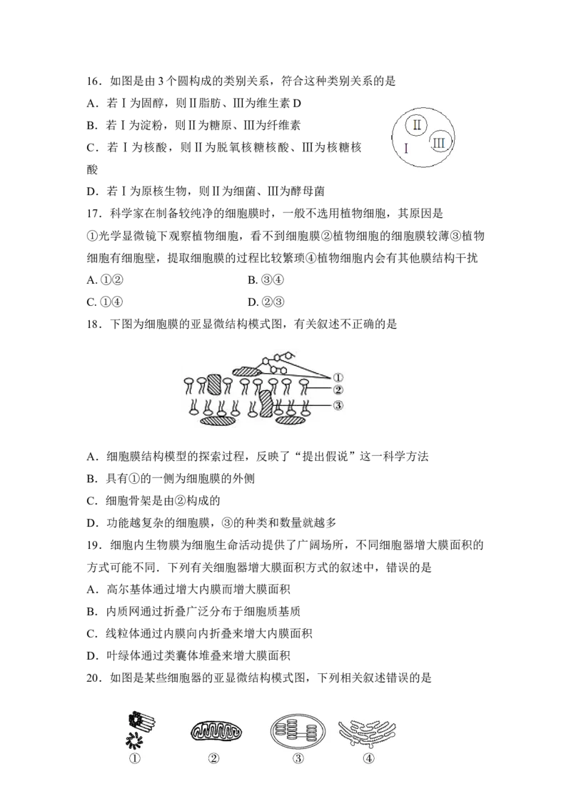 海南省海南中学高一上学期期中考试生物试题_高中九科知识点归纳。_人教版高中Word电子版试卷练习试题知识点全科_高中生物试卷习题_生物必修_必修1
