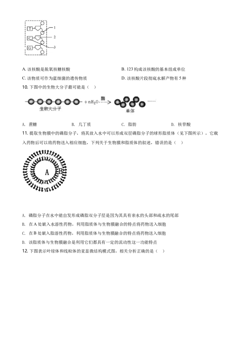 精品解析：辽宁省大连市高一上学期期末生物学试题（原卷版）_高中九科知识点归纳。_人教版高中Word电子版试卷练习试题知识点全科_高中生物试卷习题_生物必修_必修1_2.各地真题