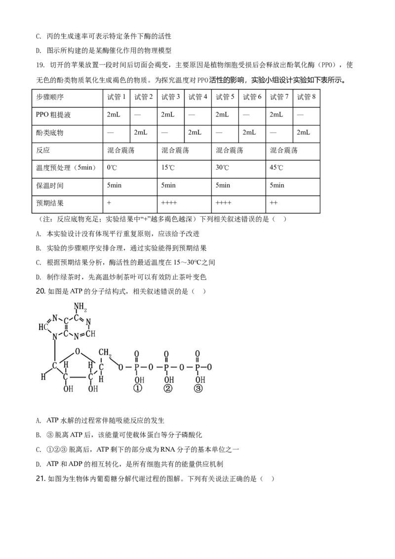 精品解析：辽宁省大连市高一上学期期末生物学试题（原卷版）_高中九科知识点归纳。_人教版高中Word电子版试卷练习试题知识点全科_高中生物试卷习题_生物必修_必修1_2.各地真题