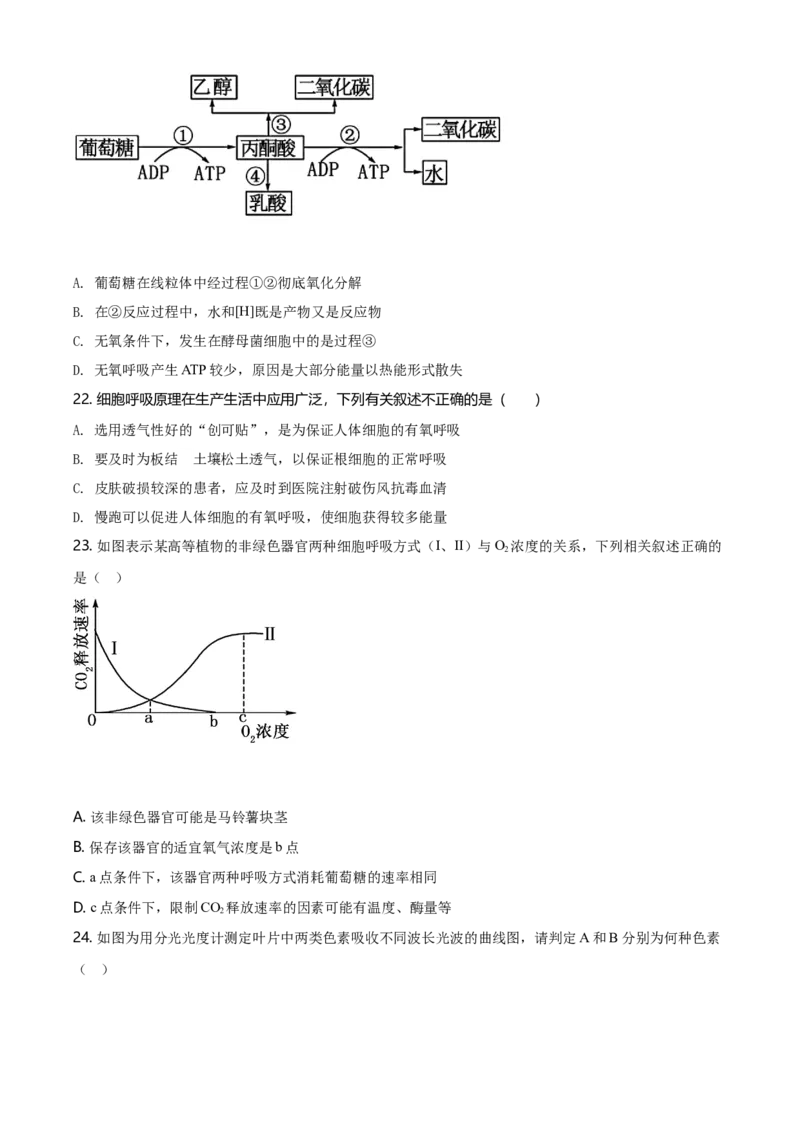 精品解析：辽宁省大连市高一上学期期末生物学试题（原卷版）_高中九科知识点归纳。_人教版高中Word电子版试卷练习试题知识点全科_高中生物试卷习题_生物必修_必修1_2.各地真题