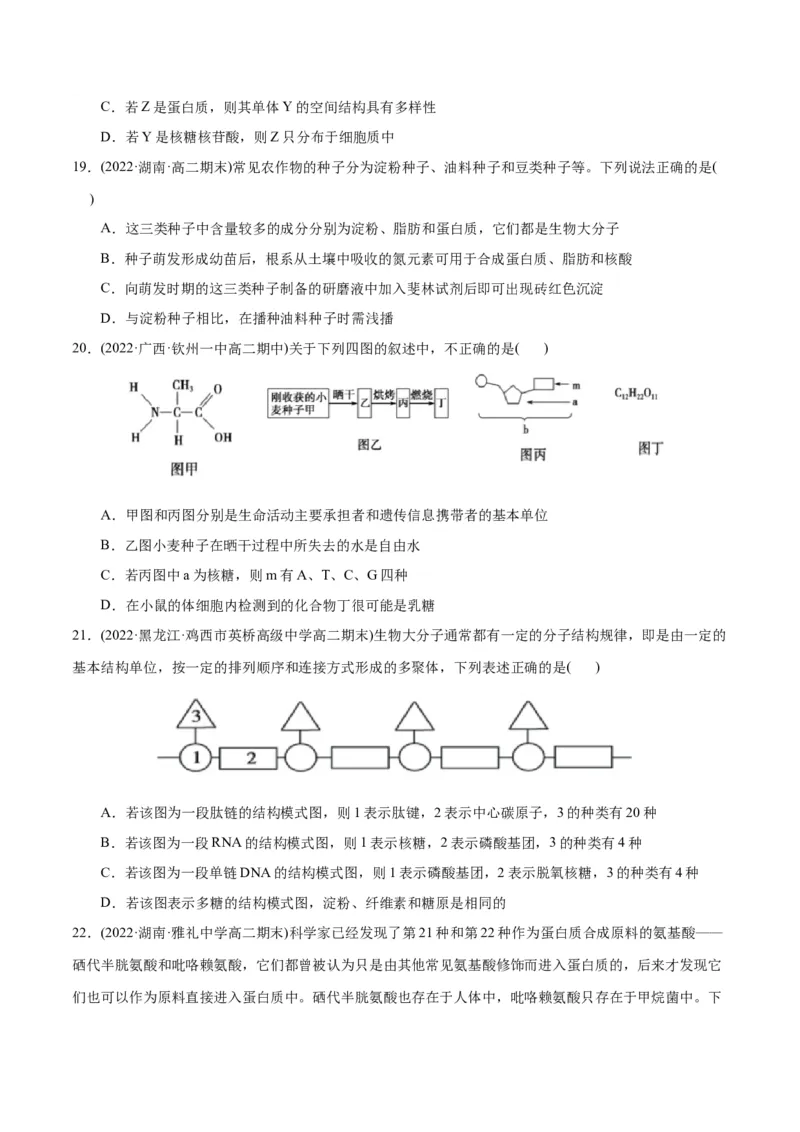 第2章组成细胞的分子（B卷&middot;能力提升练）（原卷版）_高中九科知识点归纳。_人教版高中Word电子版试卷练习试题知识点全科_高中生物试卷习题_生物必修_必修1_1.单元测试AB卷（第一套）