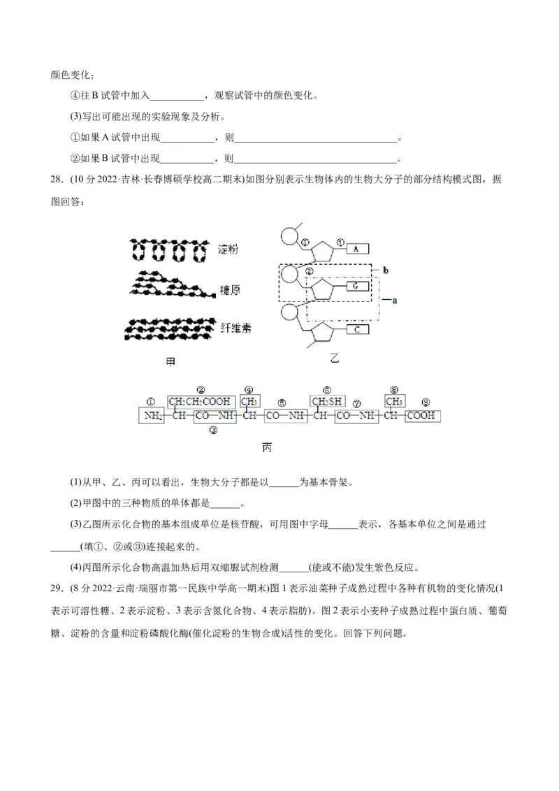 第2章组成细胞的分子（B卷&middot;能力提升练）（原卷版）_高中九科知识点归纳。_人教版高中Word电子版试卷练习试题知识点全科_高中生物试卷习题_生物必修_必修1_1.单元测试AB卷（第一套）