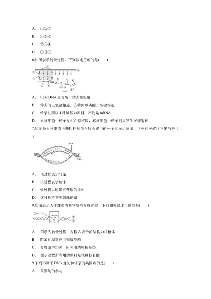 新教材精创4.1.1基因指导蛋白质的合成练习（1）（原卷版）_高中九科知识点归纳。_人教版高中Word电子版试卷练习试题知识点全科_高中生物试卷习题_生物必修_必修2_1、同步练习