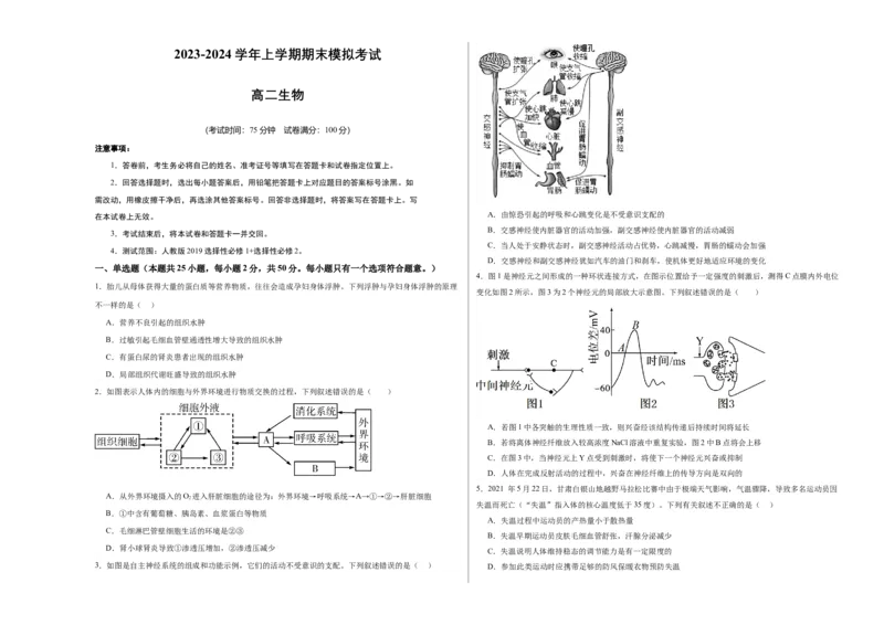 期末模拟卷01（考试版A3版）测试范围：人教版2019选择性必修1+选择性必修2_高中九科知识点归纳。_人教版高中Word电子版试卷练习试题知识点全科_高中生物试卷习题_生物选修_选修1