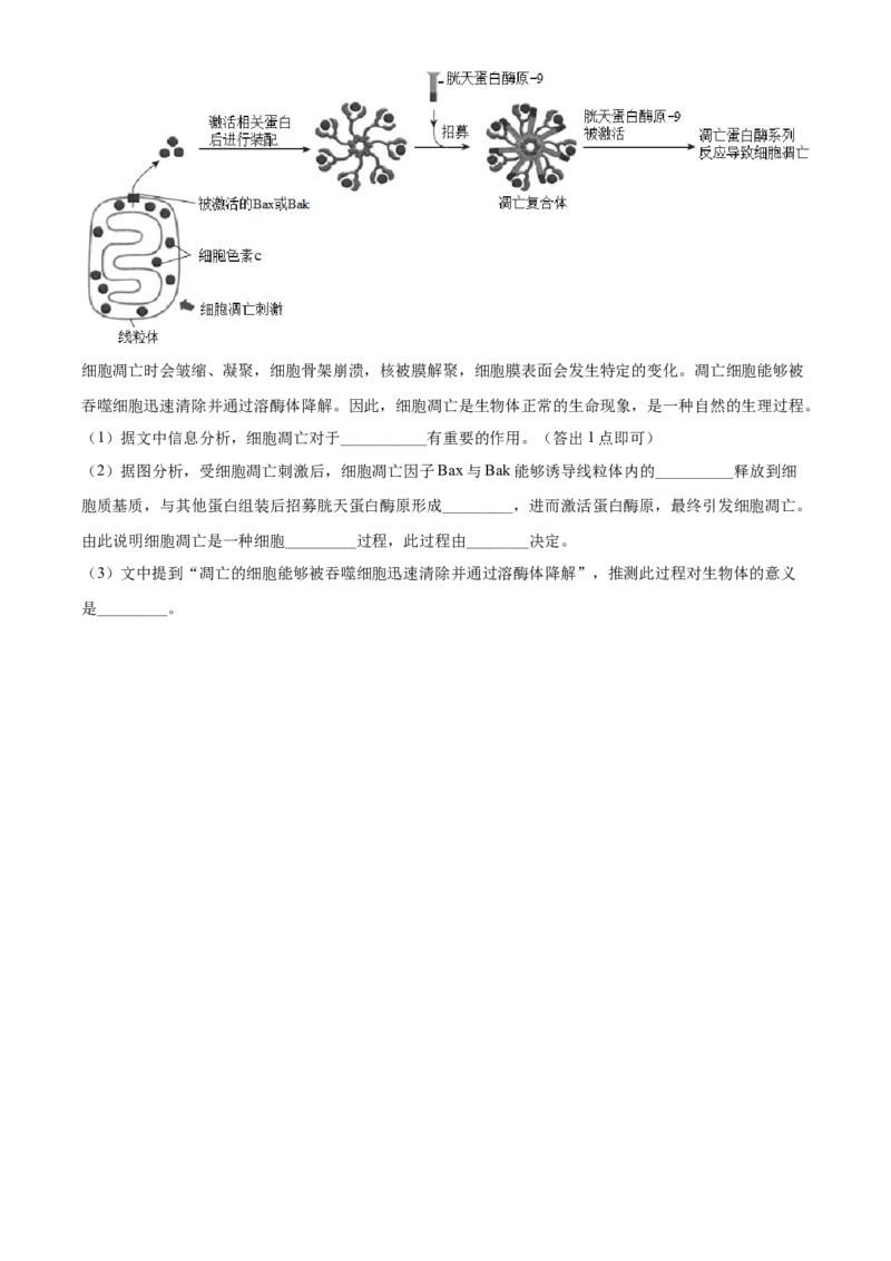 精品解析：北京市东城区高一上学期期末生物试题（原卷版）_高中九科知识点归纳。_人教版高中Word电子版试卷练习试题知识点全科_高中生物试卷习题_生物必修_必修1_2.各地真题