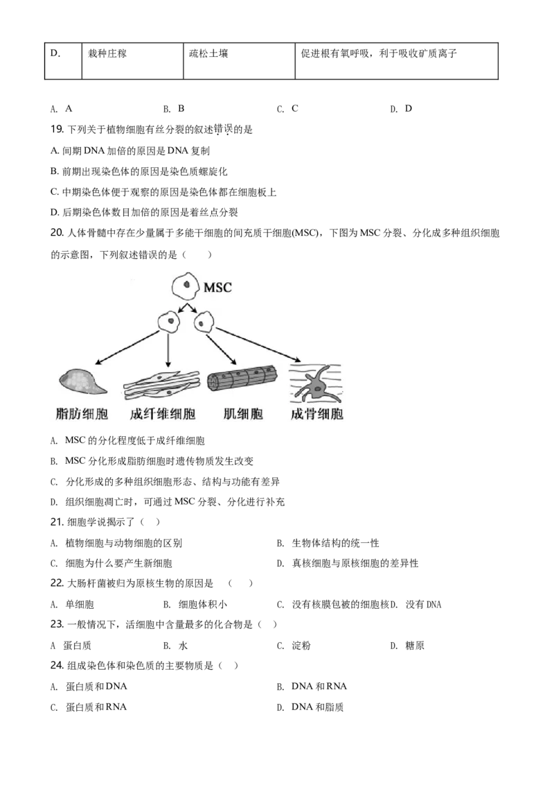 精品解析：北京市东城区高一上学期期末生物试题（原卷版）_高中九科知识点归纳。_人教版高中Word电子版试卷练习试题知识点全科_高中生物试卷习题_生物必修_必修1_2.各地真题